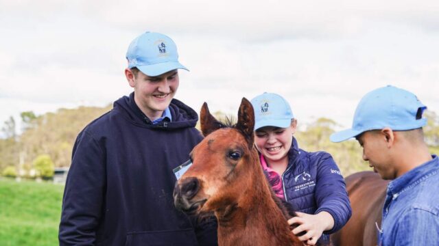 Silverdale Academy Equine Internship – Summer Program