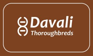 Davali Thoroughbreds