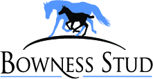 Bowness Stud and Watershed Farm