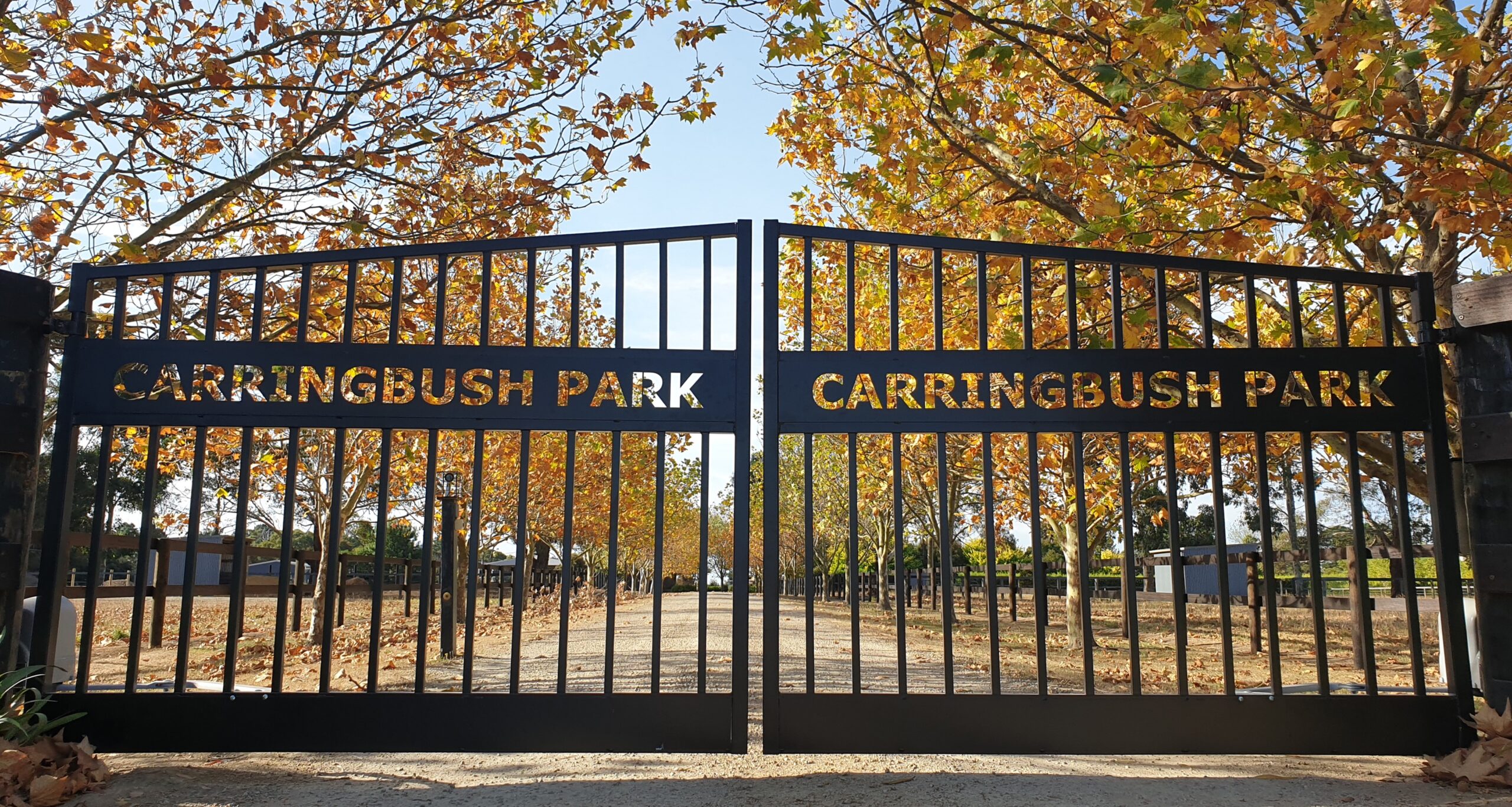 Experienced stable hand for professional racing stable on the