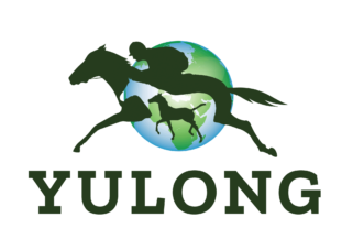 Yulong Investments