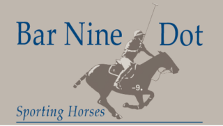 Bar Nine Dot Sporting Horses