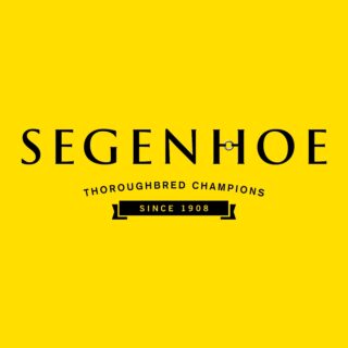 Segenhoe Stud