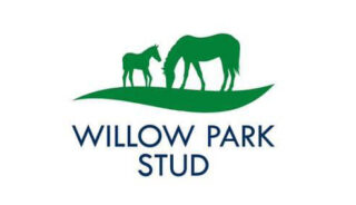 Willow Park Stud