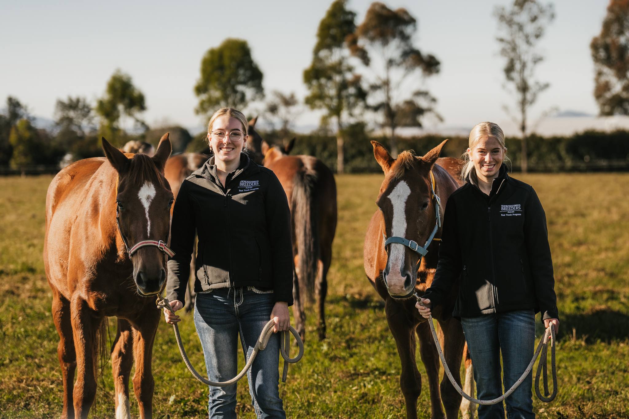 Tba Track Racing 2025 Fast Track Application Now Open - Horse Jobs Aus