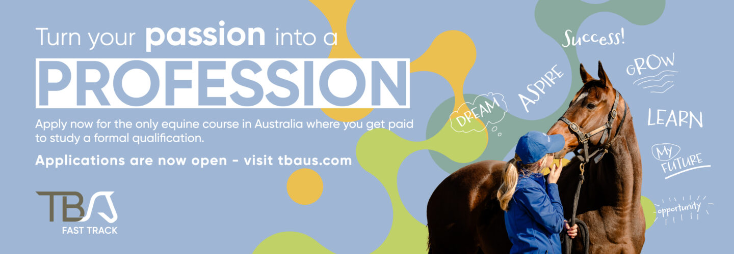 Horse Jobs Near Me Careers in Equine Industry