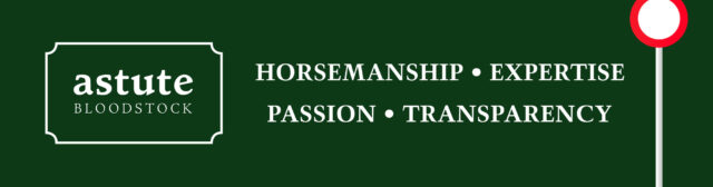 Sales and Marketing Manager