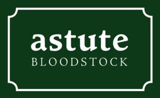 Astute Bloodstock