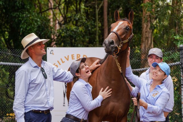 Stable Hands