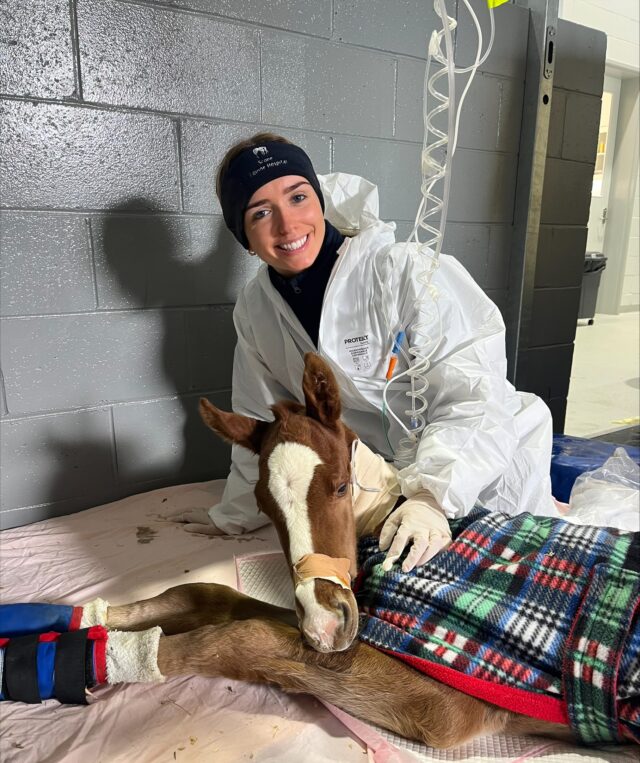 Equine Hospital Nurse