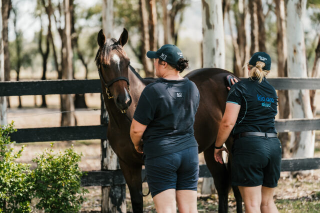 Yearling Preparation Staff — Seasonal