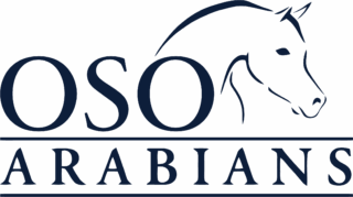 OSO Arabians