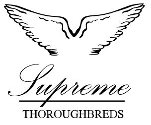 Supreme Thoroughbreds Pty Ltd