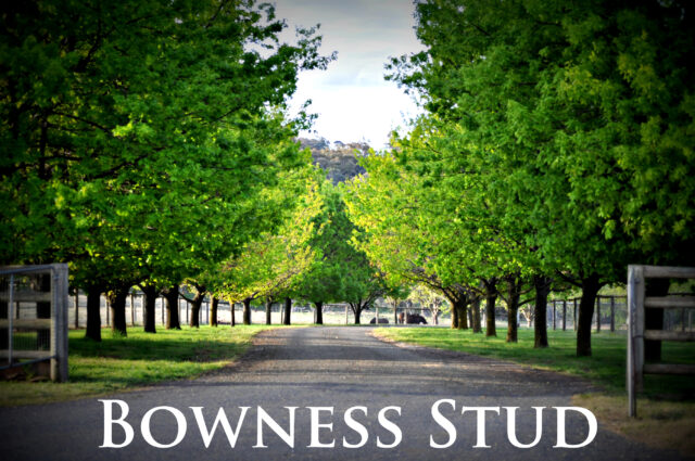 START NOW – Stud & Stable Hand Position – WHV 88 Days Eligible