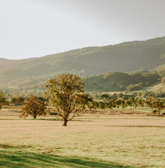 Assistant Broodmare Manager