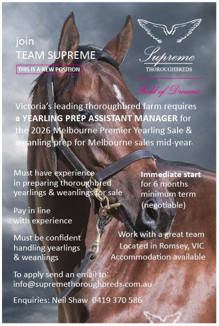 Assistant Manager – Yearling Prep