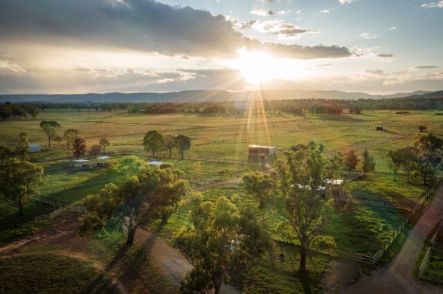 Assistant Stud Manager