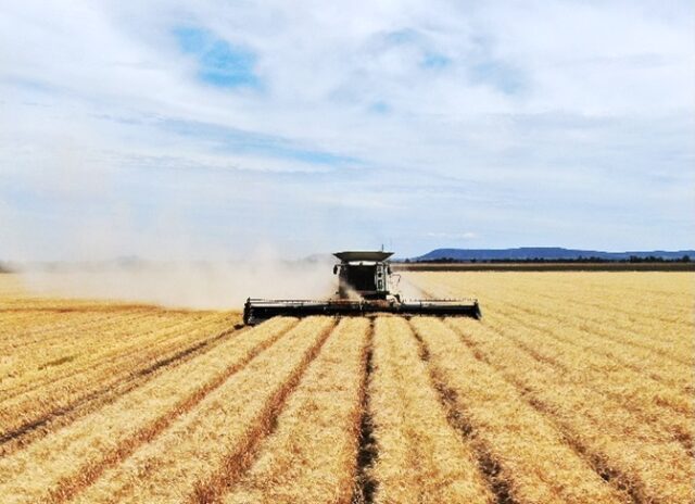 Rural Property Marketing Associate