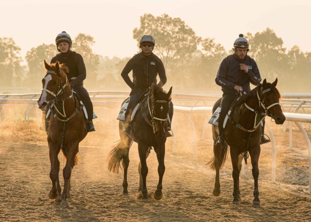 Experienced Track Work Rider