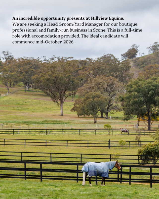 Head groom / Yard Manager