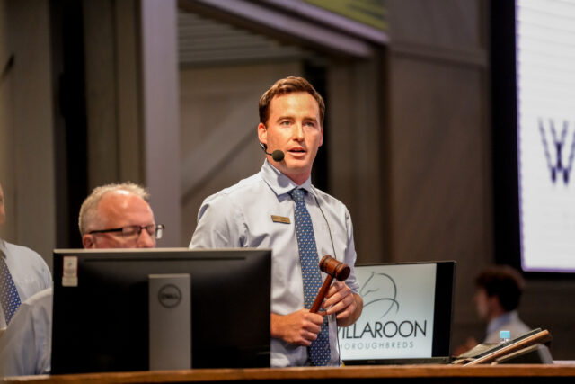 From Harness Racing to the Inglis Auction Floor