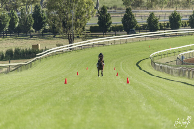 Financial Controller – Lindsay Park Racing (including Lindsay Park Racing and Lindsay Park Bloodstock)