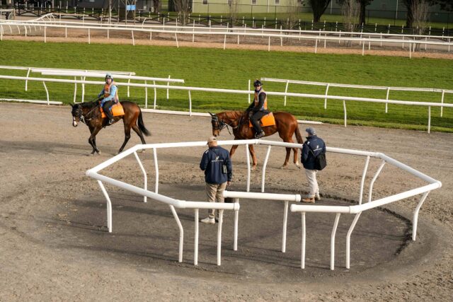 Assistant Trainer – Ballarat